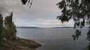 ./images/koeye/fitz-hugh/20260522/fitz-hugh20260522_110501M.jpg