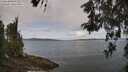 ./images/koeye/fitz-hugh/20260522/fitz-hugh20260522_111501M.jpg