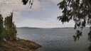 ./images/koeye/fitz-hugh/20260522/fitz-hugh20260522_113002M.jpg