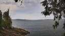 ./images/koeye/fitz-hugh/20260522/fitz-hugh20260522_113501M.jpg