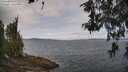 ./images/koeye/fitz-hugh/20260522/fitz-hugh20260522_114502M.jpg