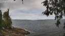 ./images/koeye/fitz-hugh/20260522/fitz-hugh20260522_121001M.jpg