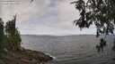 ./images/koeye/fitz-hugh/20260522/fitz-hugh20260522_122001M.jpg