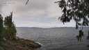 ./images/koeye/fitz-hugh/20260522/fitz-hugh20260522_122501M.jpg