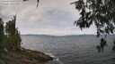 ./images/koeye/fitz-hugh/20260522/fitz-hugh20260522_123001M.jpg
