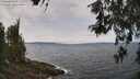 ./images/koeye/fitz-hugh/20260522/fitz-hugh20260522_124501M.jpg