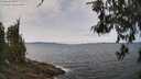 ./images/koeye/fitz-hugh/20260522/fitz-hugh20260522_125001M.jpg