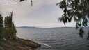 ./images/koeye/fitz-hugh/20260522/fitz-hugh20260522_125502M.jpg