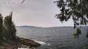 ./images/koeye/fitz-hugh/20260522/fitz-hugh20260522_134001M.jpg