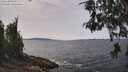 ./images/koeye/fitz-hugh/20260522/fitz-hugh20260522_134502M.jpg