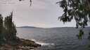 ./images/koeye/fitz-hugh/20260522/fitz-hugh20260522_135501M.jpg