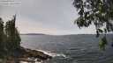 ./images/koeye/fitz-hugh/20260522/fitz-hugh20260522_141501M.jpg