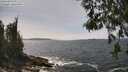 ./images/koeye/fitz-hugh/20260522/fitz-hugh20260522_142501M.jpg