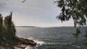 ./images/koeye/fitz-hugh/20260522/fitz-hugh20260522_143001M.jpg