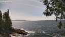 ./images/koeye/fitz-hugh/20260522/fitz-hugh20260522_144002M.jpg