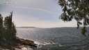 ./images/koeye/fitz-hugh/20260522/fitz-hugh20260522_145001M.jpg