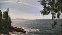 ./images/koeye/fitz-hugh/20260522/fitz-hugh20260522_145501M.jpg