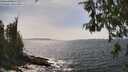 ./images/koeye/fitz-hugh/20260522/fitz-hugh20260522_152001M.jpg