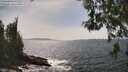 ./images/koeye/fitz-hugh/20260522/fitz-hugh20260522_152501M.jpg