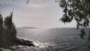 ./images/koeye/fitz-hugh/20260522/fitz-hugh20260522_155001M.jpg