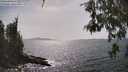 ./images/koeye/fitz-hugh/20260522/fitz-hugh20260522_155501M.jpg