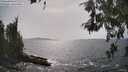 ./images/koeye/fitz-hugh/20260522/fitz-hugh20260522_160501M.jpg