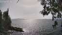 ./images/koeye/fitz-hugh/20260522/fitz-hugh20260522_162001M.jpg
