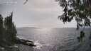 ./images/koeye/fitz-hugh/20260522/fitz-hugh20260522_162502M.jpg