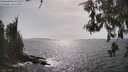 ./images/koeye/fitz-hugh/20260522/fitz-hugh20260522_163002M.jpg