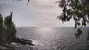 ./images/koeye/fitz-hugh/20260522/fitz-hugh20260522_163501M.jpg