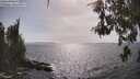 ./images/koeye/fitz-hugh/20260522/fitz-hugh20260522_164001M.jpg