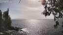 ./images/koeye/fitz-hugh/20260522/fitz-hugh20260522_164501M.jpg