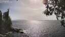 ./images/koeye/fitz-hugh/20260522/fitz-hugh20260522_165001M.jpg