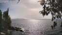 ./images/koeye/fitz-hugh/20260522/fitz-hugh20260522_165501M.jpg