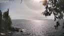 ./images/koeye/fitz-hugh/20260522/fitz-hugh20260522_171501M.jpg
