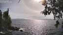 ./images/koeye/fitz-hugh/20260522/fitz-hugh20260522_172002M.jpg