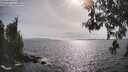 ./images/koeye/fitz-hugh/20260522/fitz-hugh20260522_172501M.jpg
