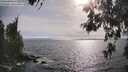./images/koeye/fitz-hugh/20260522/fitz-hugh20260522_175001M.jpg