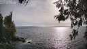 ./images/koeye/fitz-hugh/20260522/fitz-hugh20260522_180501M.jpg