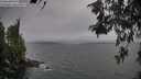./images/koeye/fitz-hugh/20260522/fitz-hugh20260522_194501M.jpg
