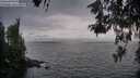 ./images/koeye/fitz-hugh/20260522/fitz-hugh20260522_204501M.jpg