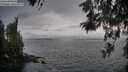 ./images/koeye/fitz-hugh/20260522/fitz-hugh20260522_205001M.jpg