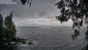 ./images/koeye/fitz-hugh/20260522/fitz-hugh20260522_211501M.jpg