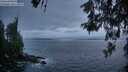 ./images/koeye/fitz-hugh/20260522/fitz-hugh20260522_214002M.jpg