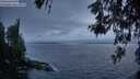 ./images/koeye/fitz-hugh/20260522/fitz-hugh20260522_214501M.jpg