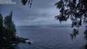 ./images/koeye/fitz-hugh/20260522/fitz-hugh20260522_215002M.jpg