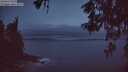 ./images/koeye/fitz-hugh/20260523/fitz-hugh20260523_044501M.jpg