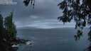 ./images/koeye/fitz-hugh/20260523/fitz-hugh20260523_051001M.jpg