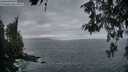 ./images/koeye/fitz-hugh/20260523/fitz-hugh20260523_053001M.jpg