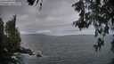 ./images/koeye/fitz-hugh/20260523/fitz-hugh20260523_053501M.jpg